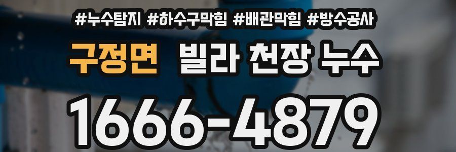 구정면 빌라 천장 누수