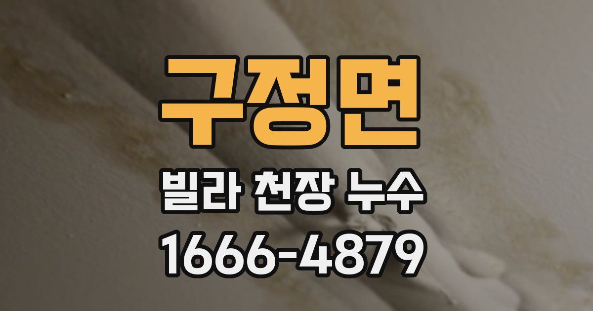 구정면 빌라 천장 누수