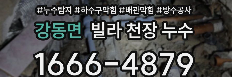 강동면 빌라 천장 누수