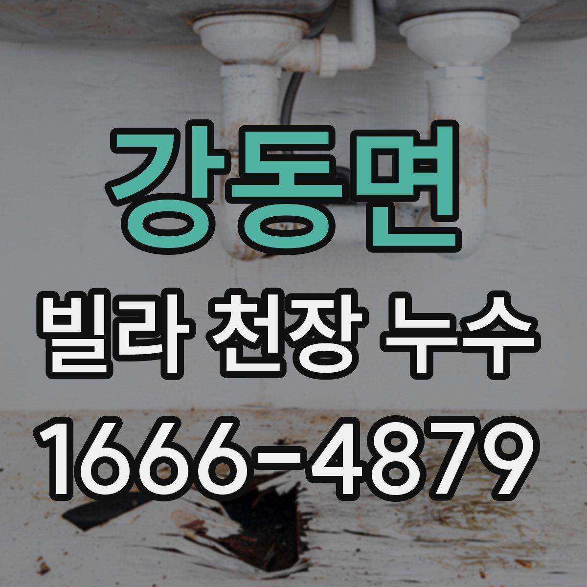 강동면 빌라 천장 누수