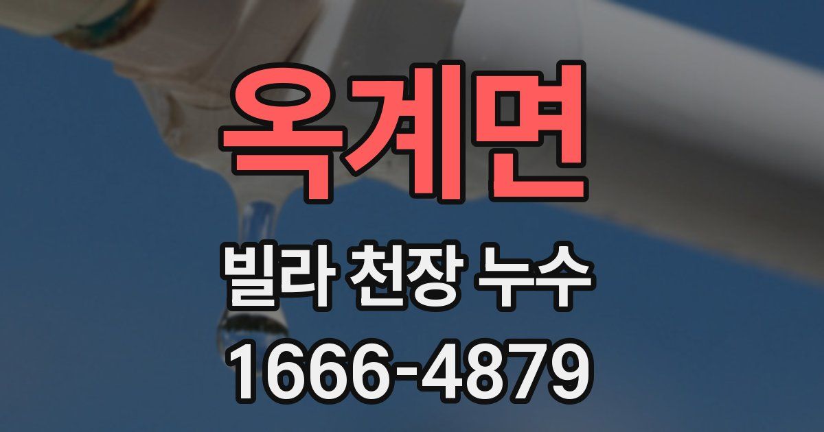 옥계면 빌라 천장 누수