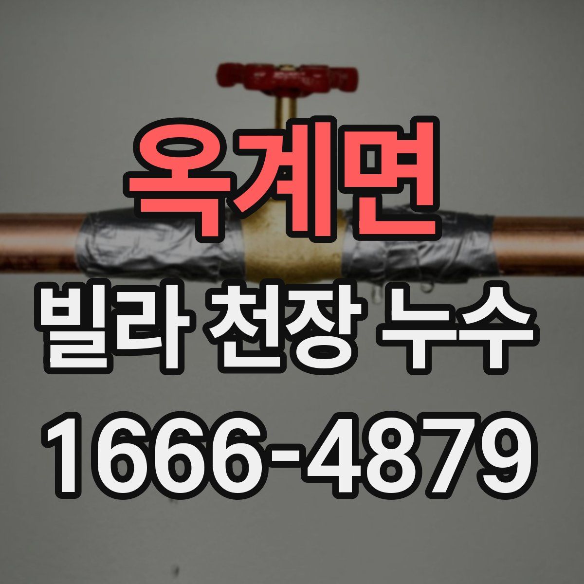 옥계면 빌라 천장 누수