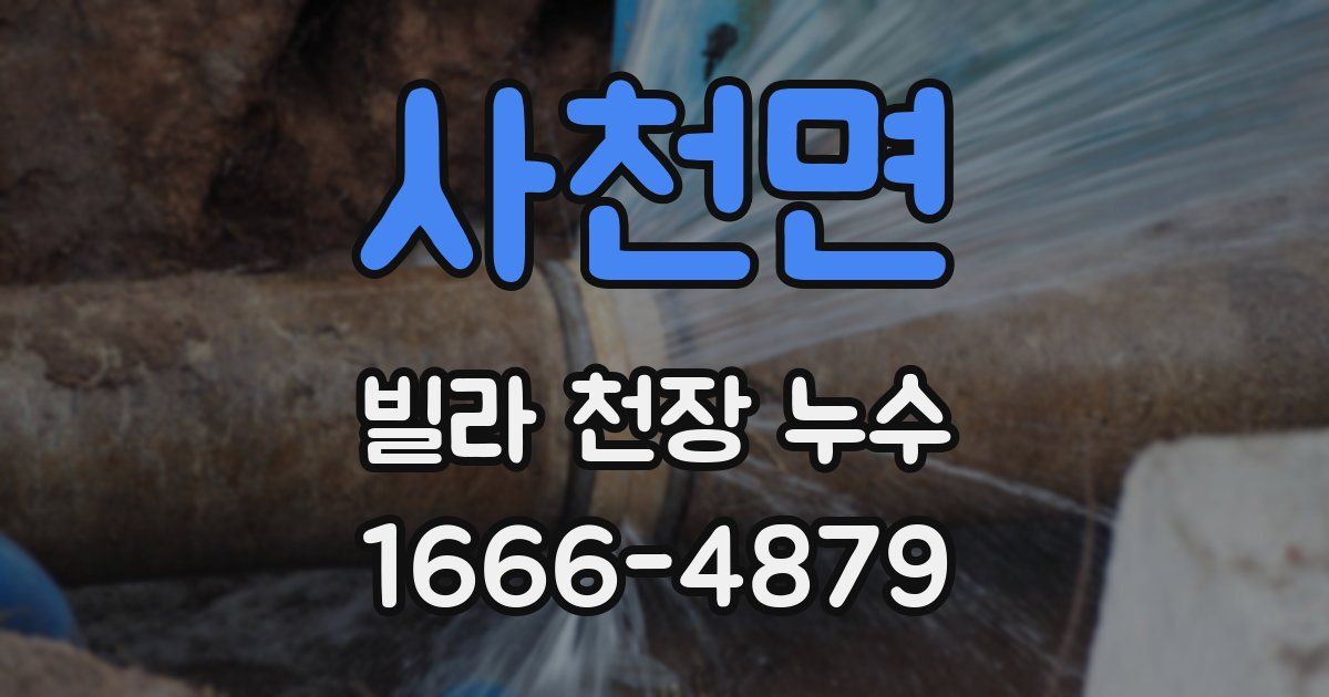 사천면 빌라 천장 누수
