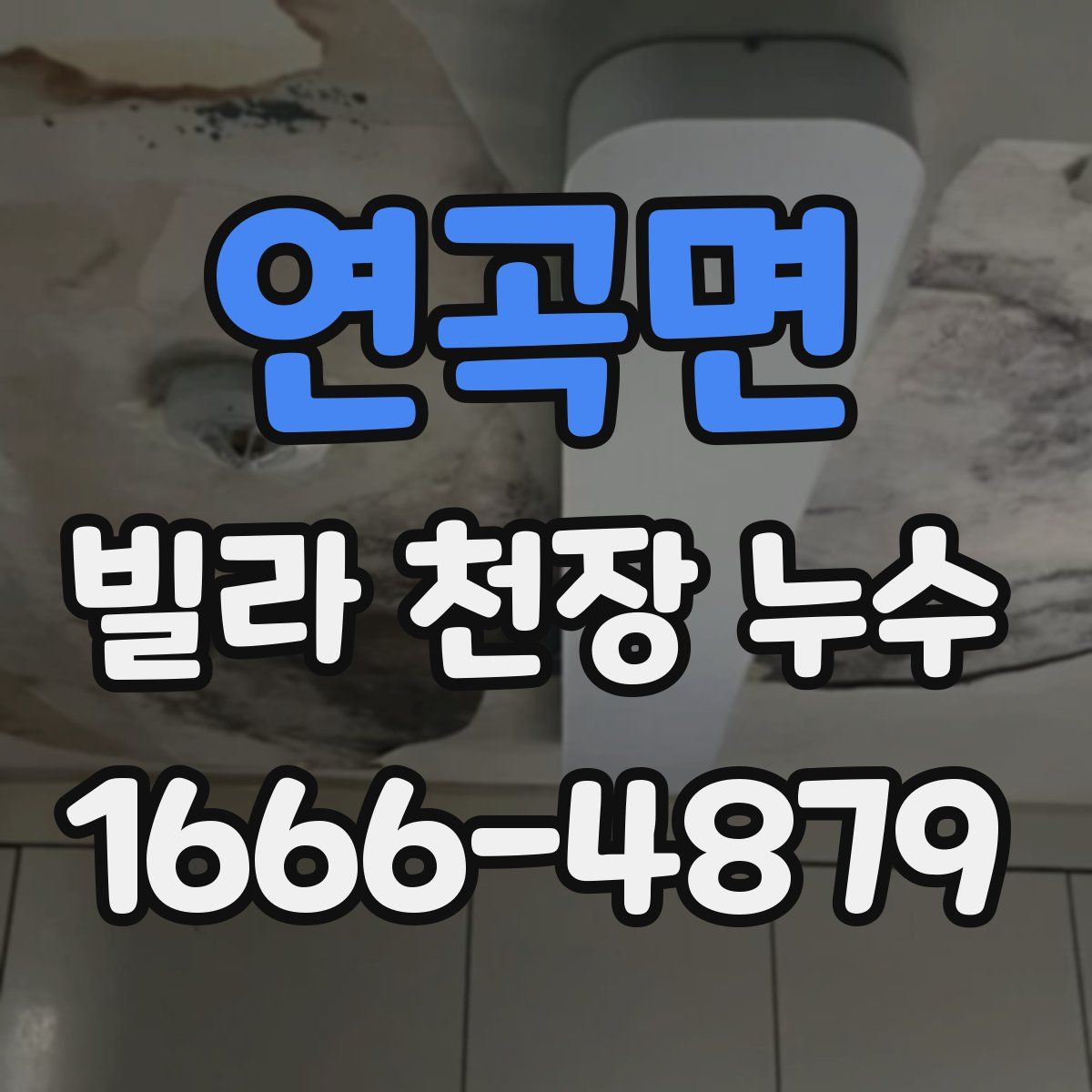 연곡면 빌라 천장 누수