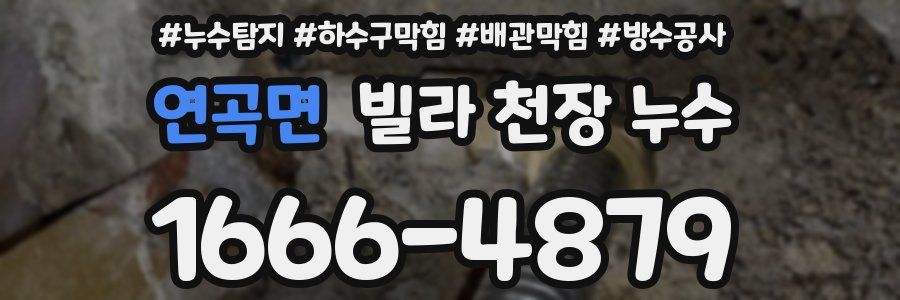 연곡면 빌라 천장 누수