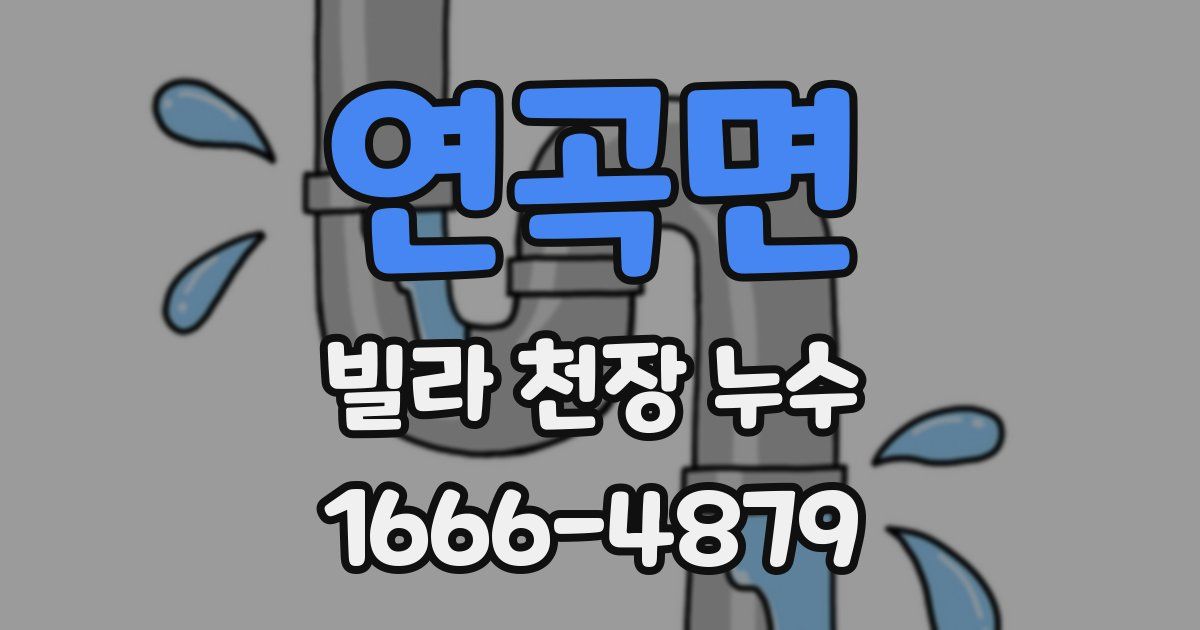 연곡면 빌라 천장 누수
