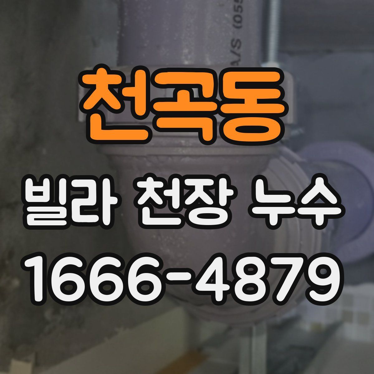 천곡동 빌라 천장 누수