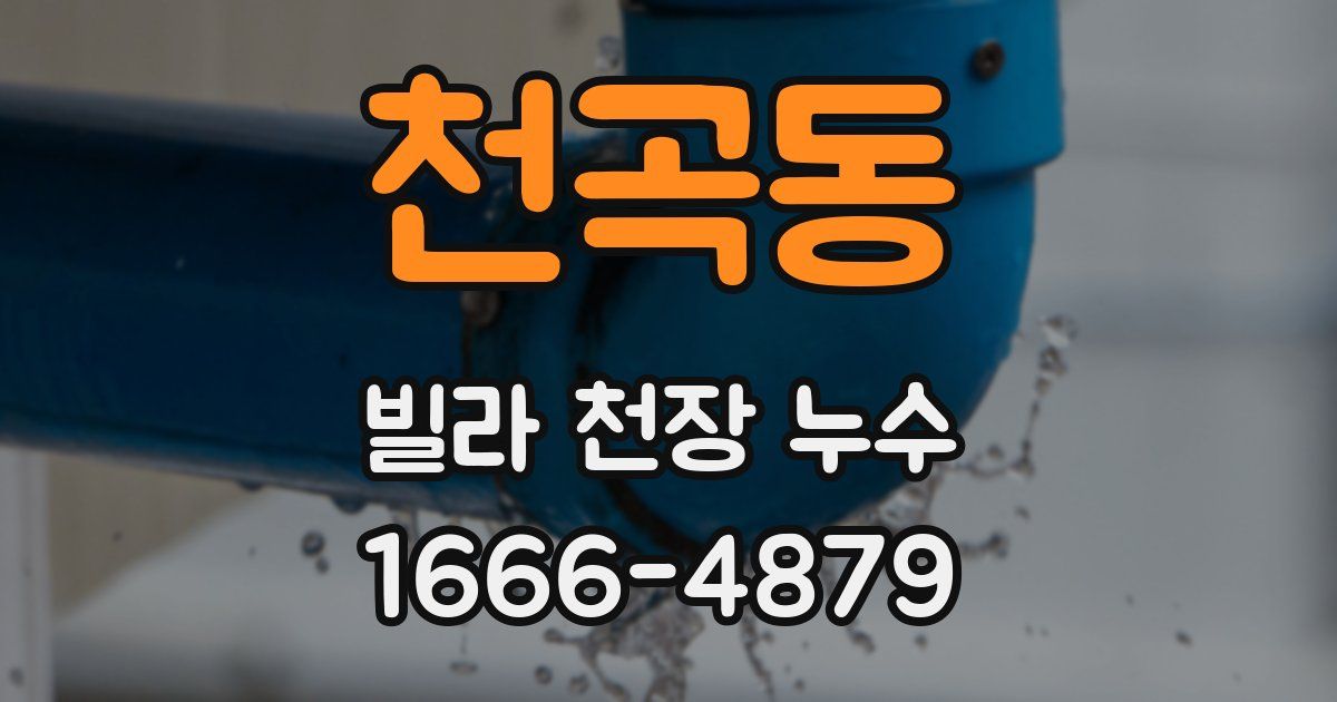 천곡동 빌라 천장 누수