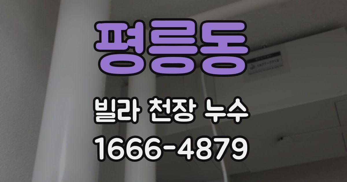 평릉동 빌라 천장 누수