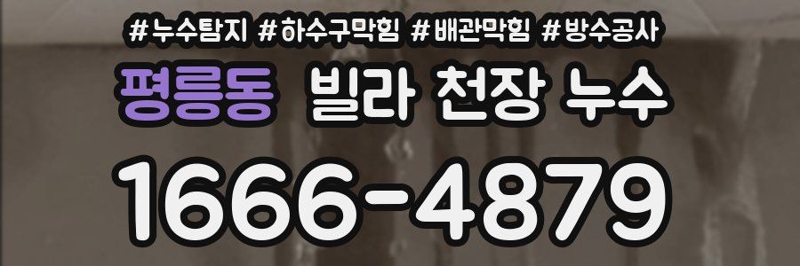 평릉동 빌라 천장 누수
