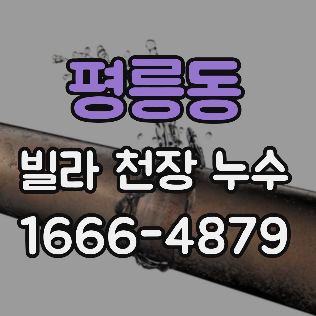 평릉동 빌라 천장 누수