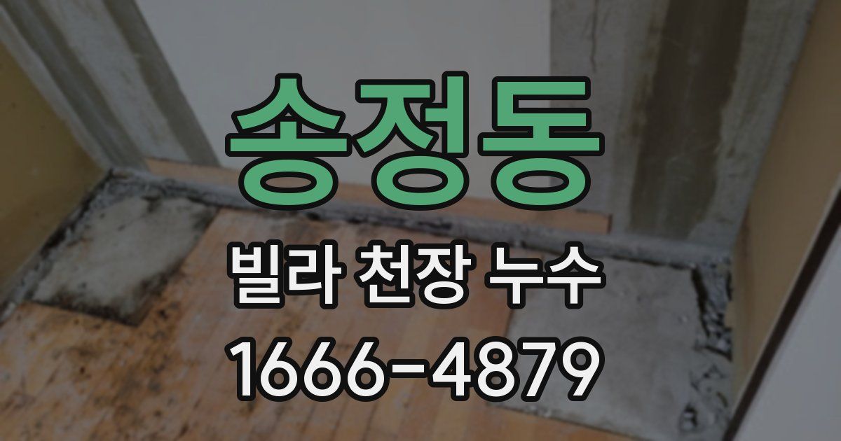 송정동 빌라 천장 누수