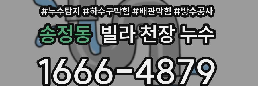 송정동 빌라 천장 누수