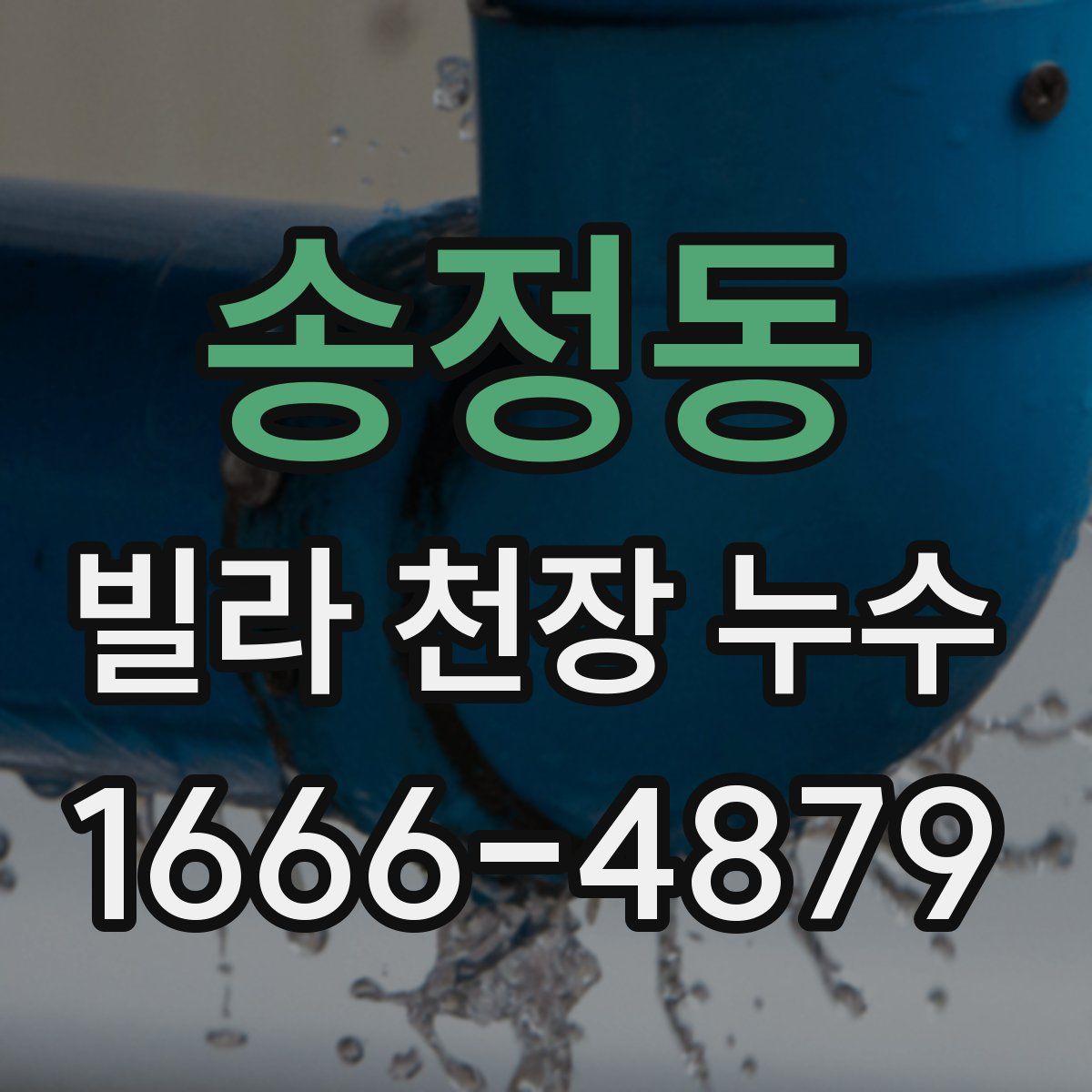 송정동 빌라 천장 누수