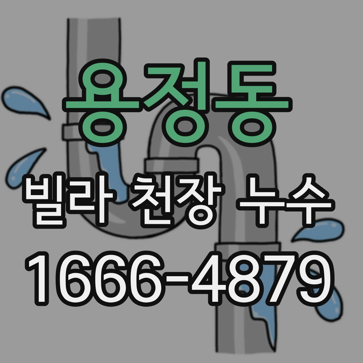 용정동 빌라 천장 누수