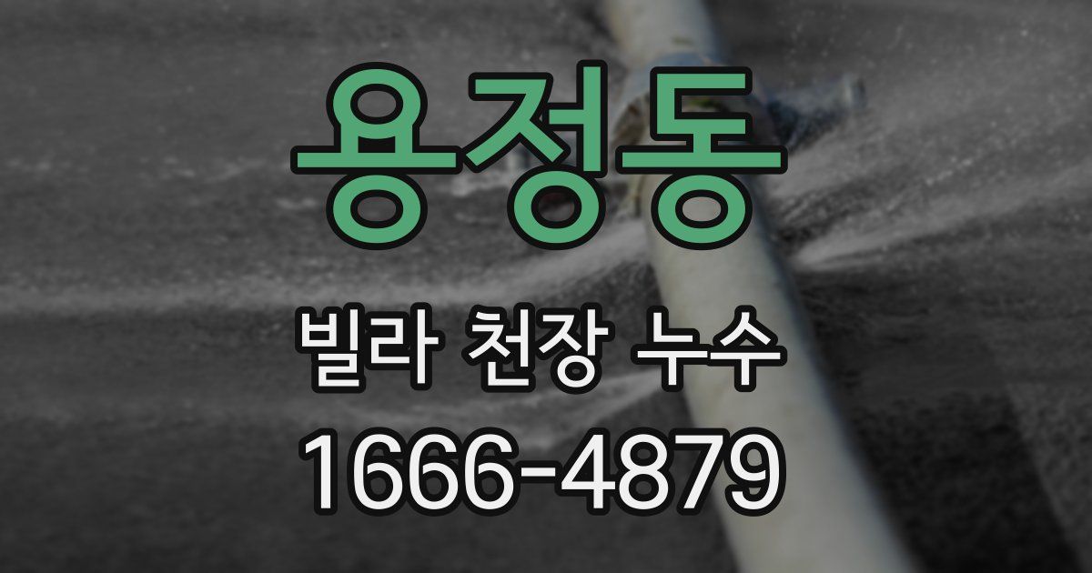 용정동 빌라 천장 누수