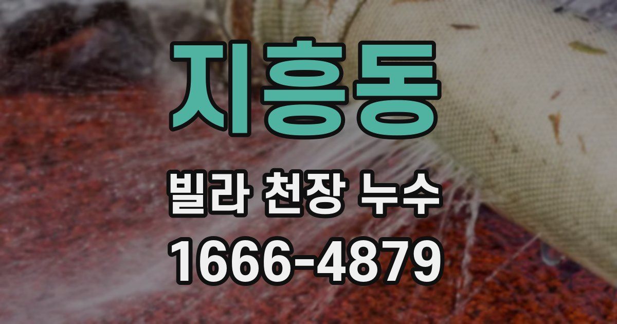 지흥동 빌라 천장 누수