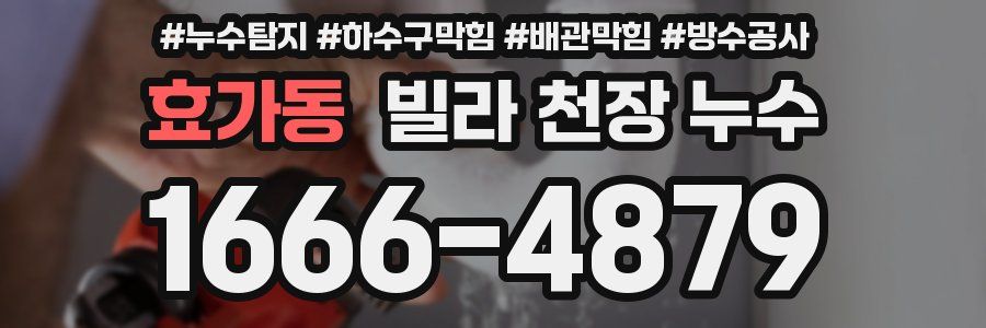 효가동 빌라 천장 누수