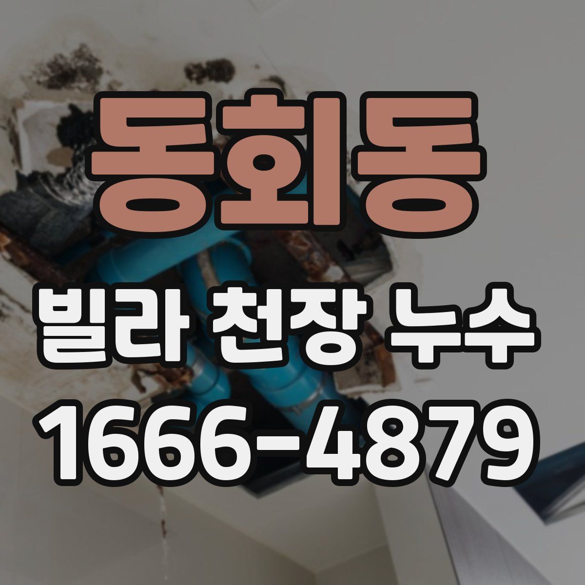 동회동 빌라 천장 누수