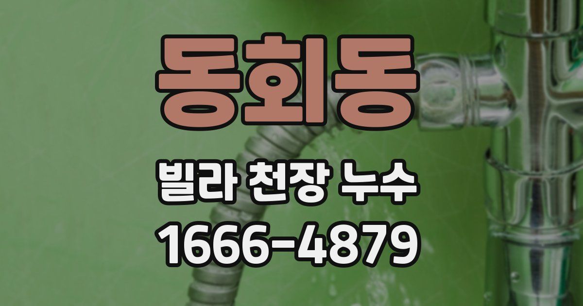 동회동 빌라 천장 누수