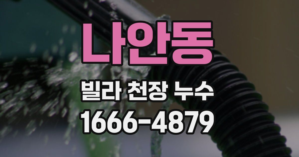 나안동 빌라 천장 누수
