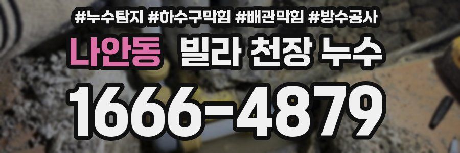 나안동 빌라 천장 누수