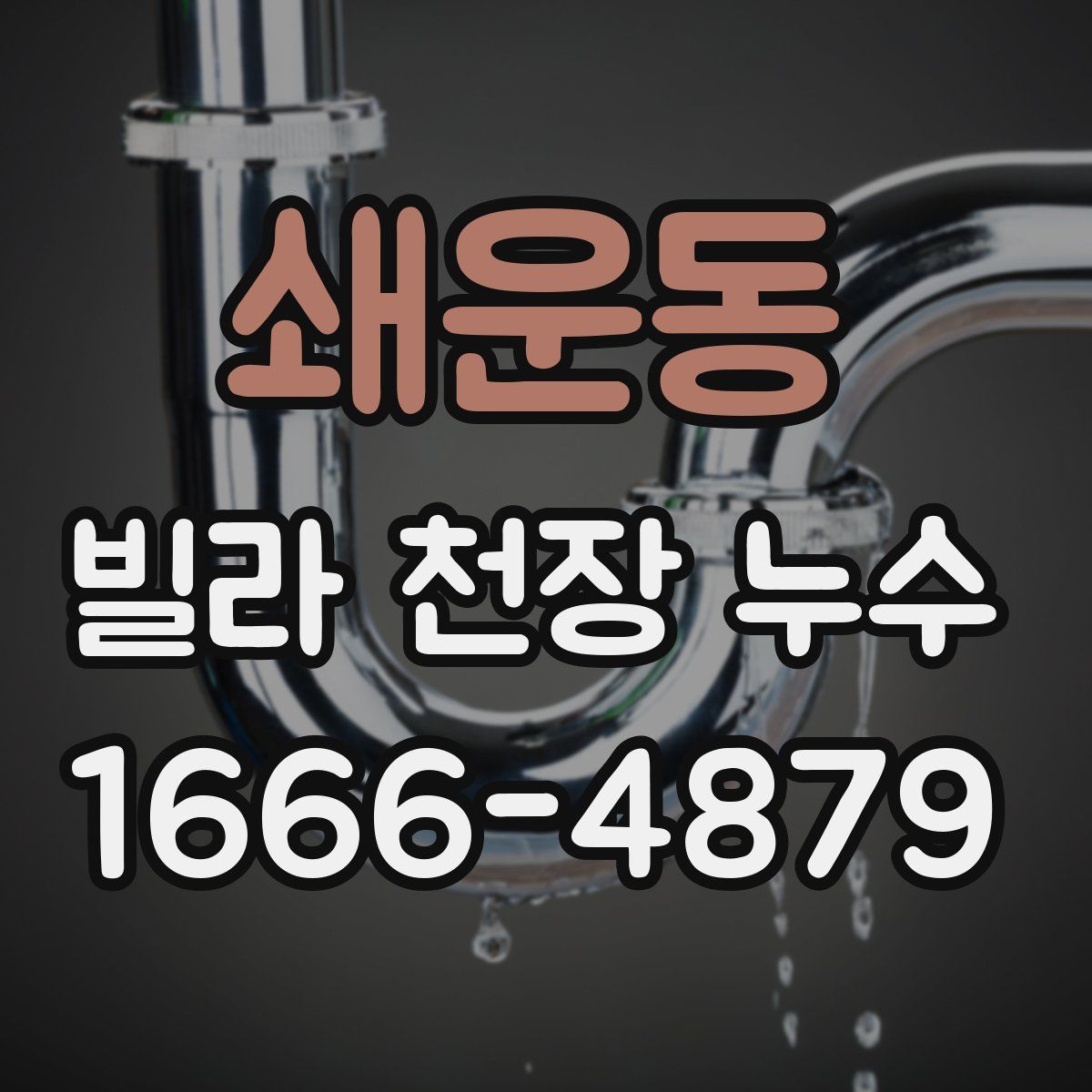 쇄운동 빌라 천장 누수