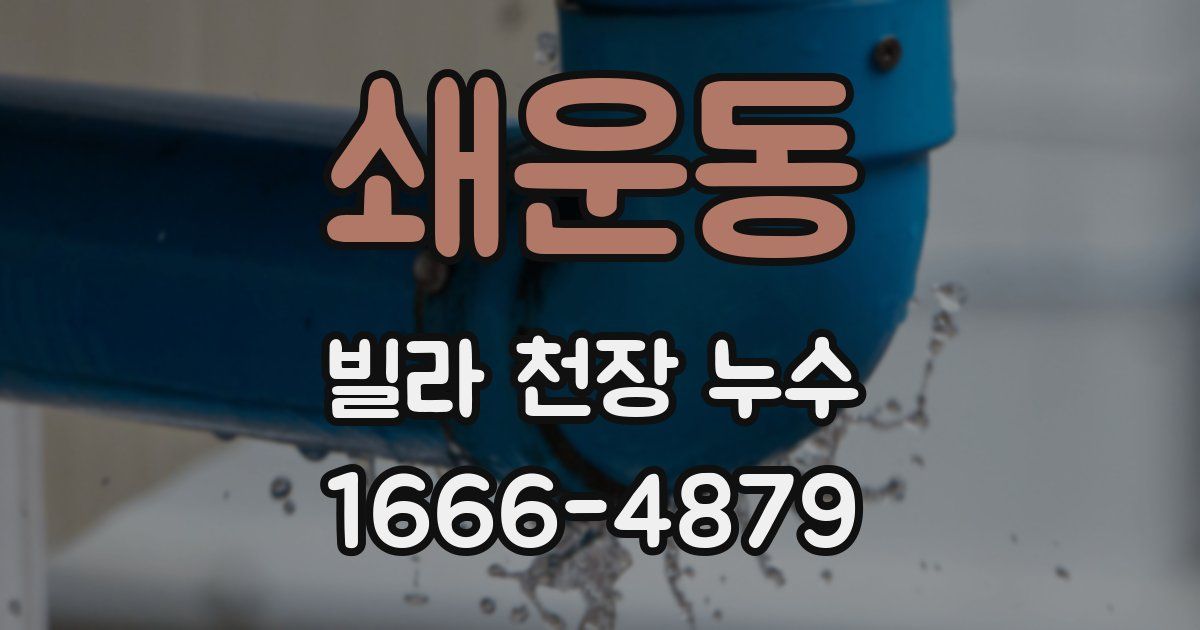 쇄운동 빌라 천장 누수