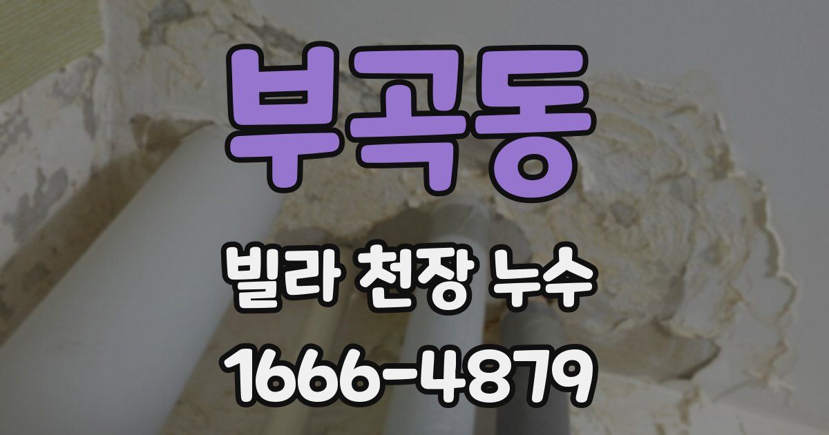 부곡동 빌라 천장 누수