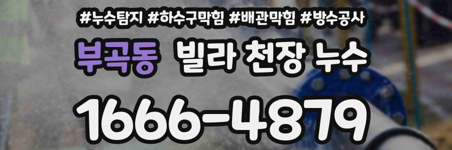 부곡동 빌라 천장 누수