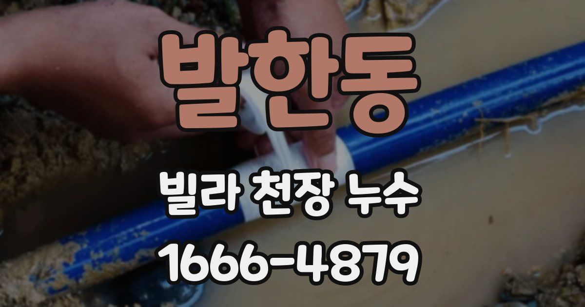 발한동 빌라 천장 누수