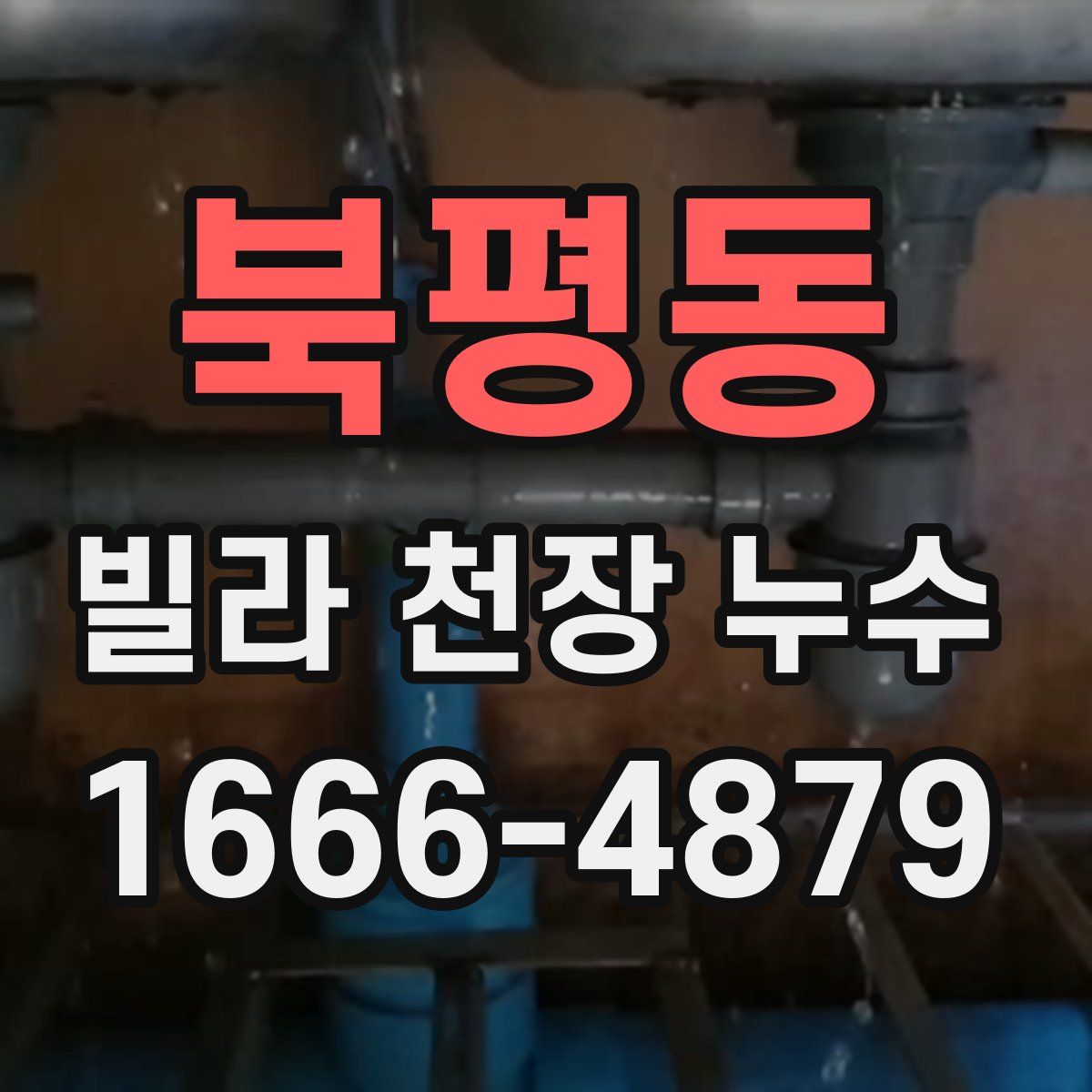 북평동 빌라 천장 누수