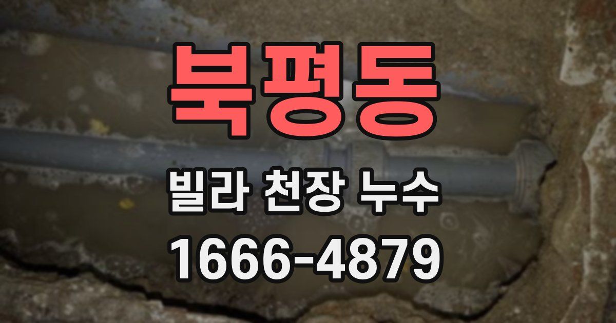 북평동 빌라 천장 누수