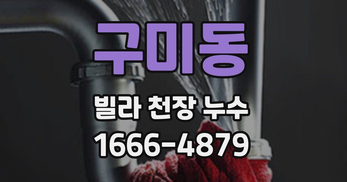 구미동 빌라 천장 누수