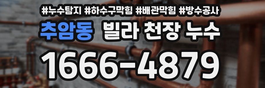 추암동 빌라 천장 누수