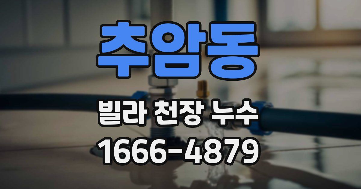 추암동 빌라 천장 누수