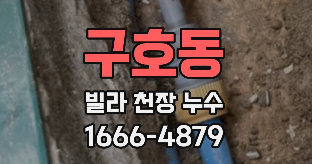 구호동 빌라 천장 누수
