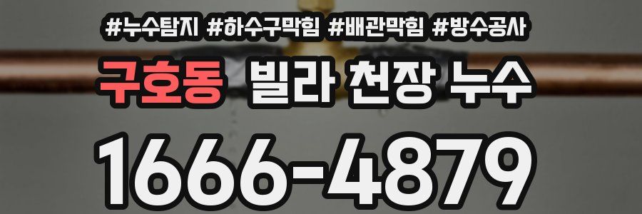 구호동 빌라 천장 누수