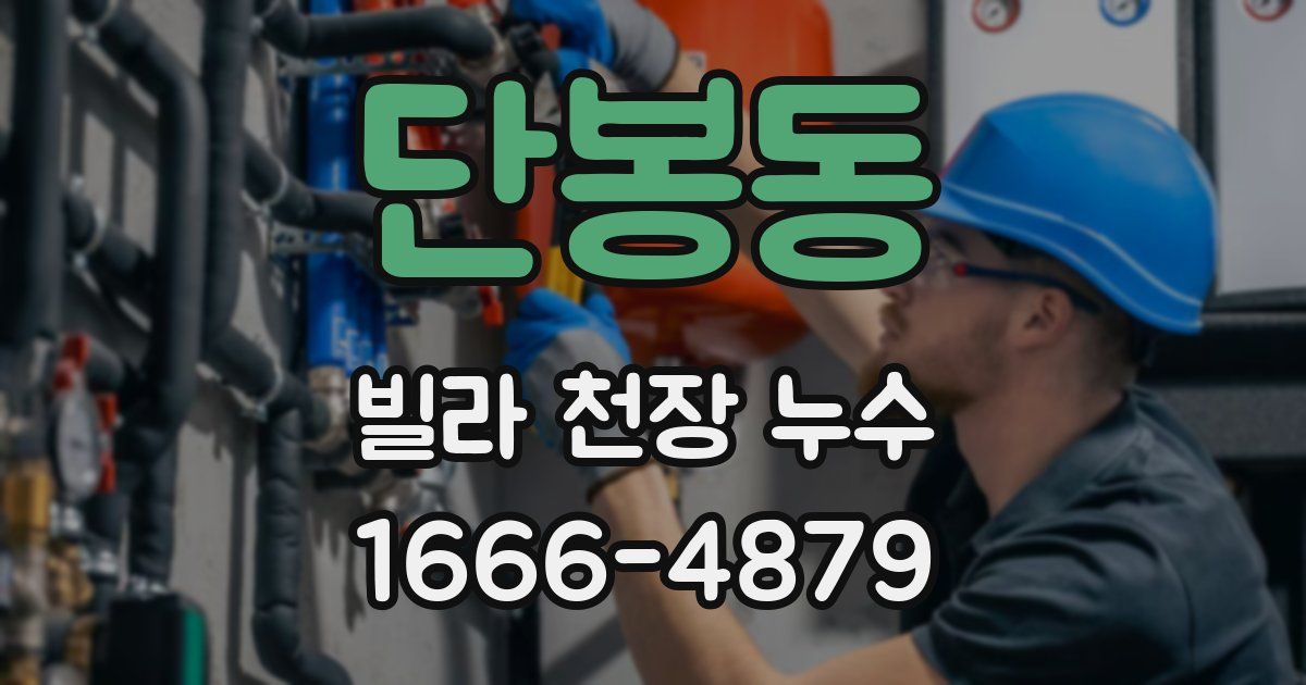 단봉동 빌라 천장 누수