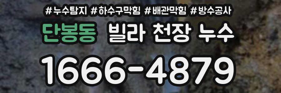 단봉동 빌라 천장 누수