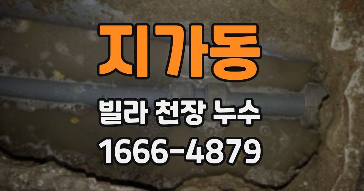 지가동 빌라 천장 누수