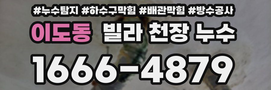이도동 빌라 천장 누수