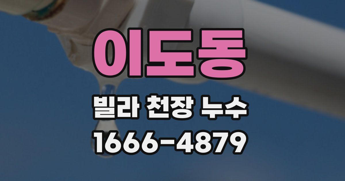 이도동 빌라 천장 누수