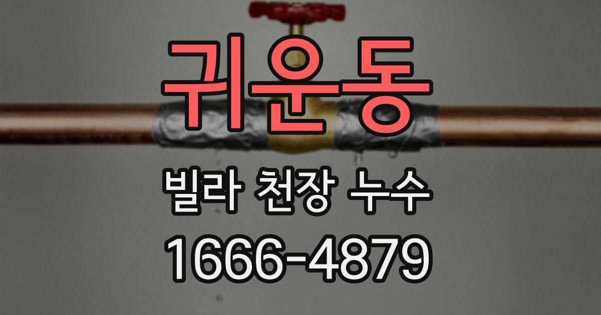귀운동 빌라 천장 누수
