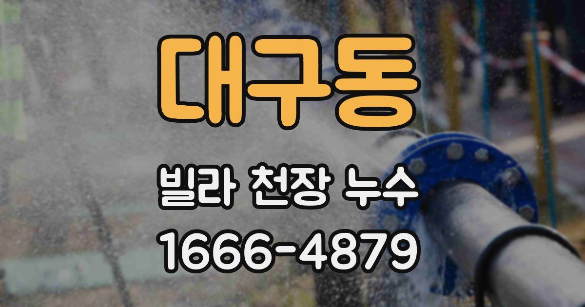 대구동 빌라 천장 누수
