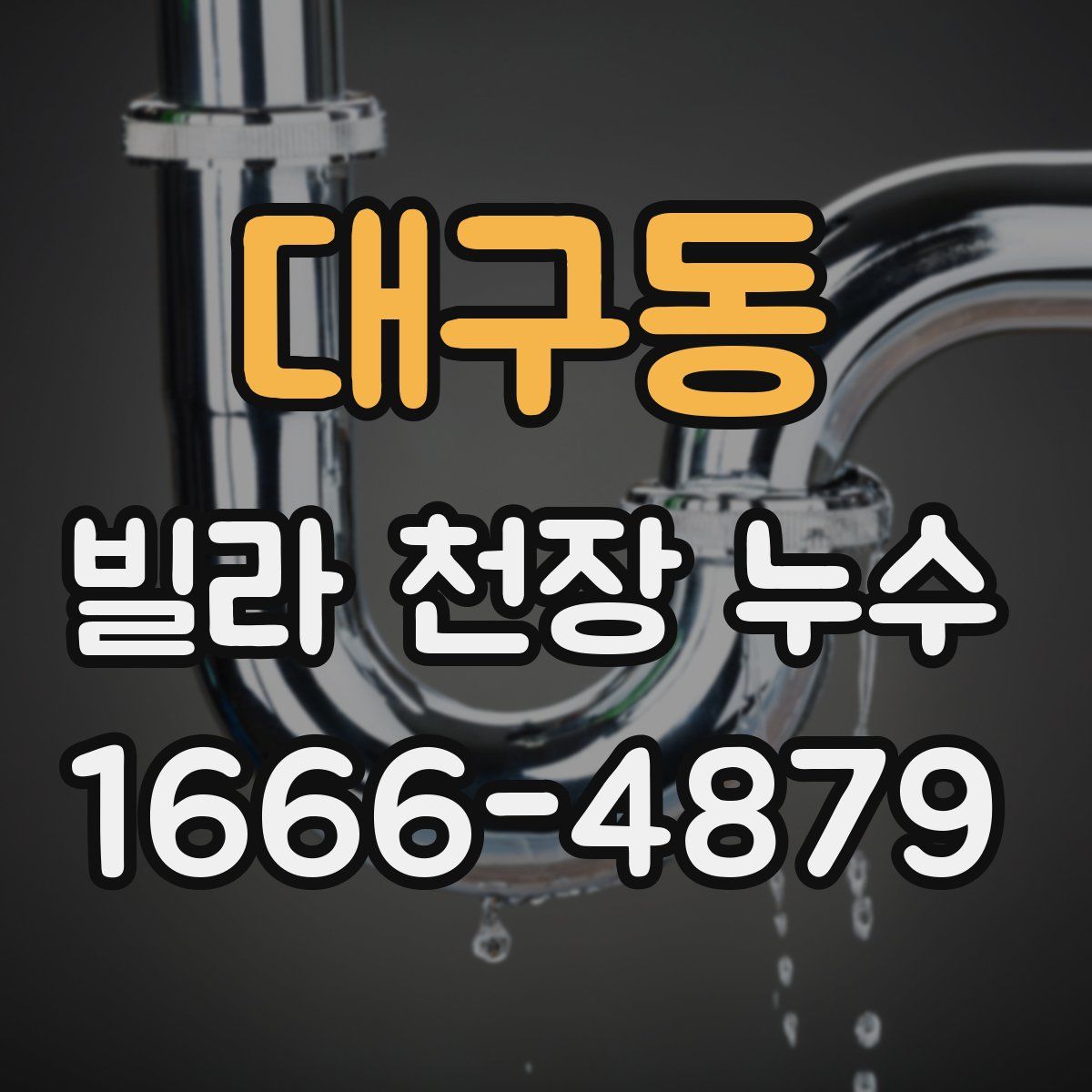 대구동 빌라 천장 누수
