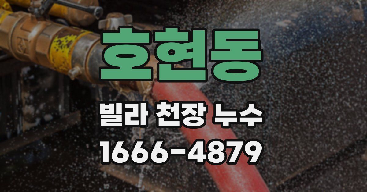 호현동 빌라 천장 누수