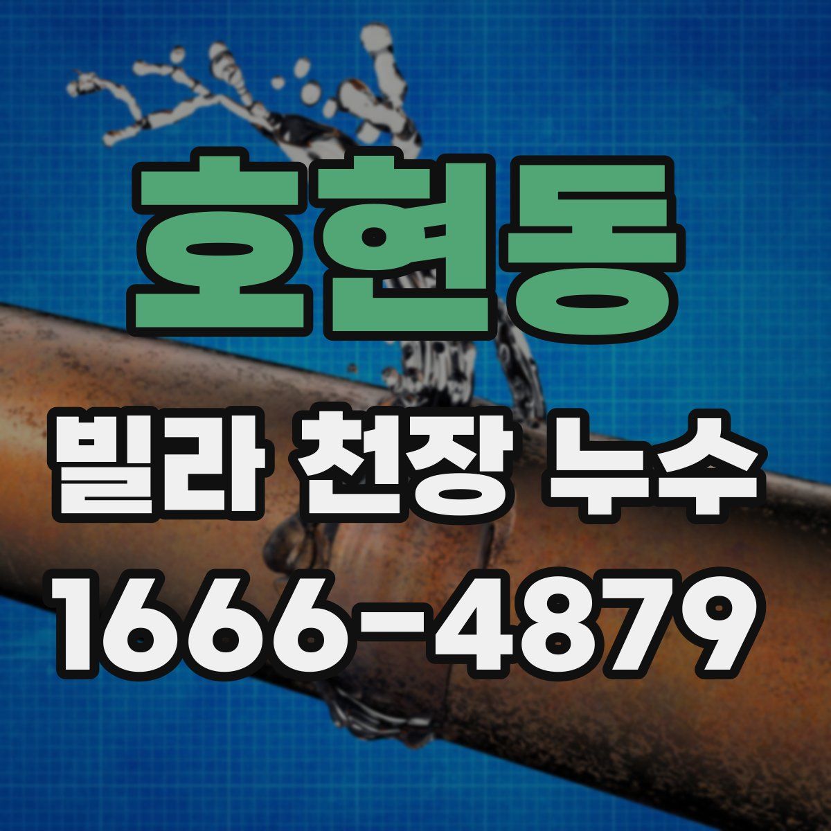 호현동 빌라 천장 누수