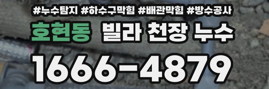 호현동 빌라 천장 누수