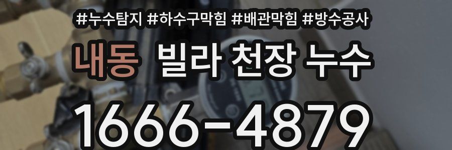내동 빌라 천장 누수